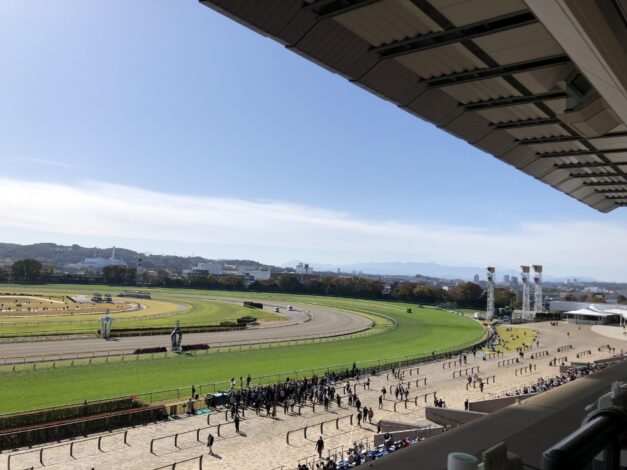 シルクホースクラブ21年度産駒競走馬名決定！