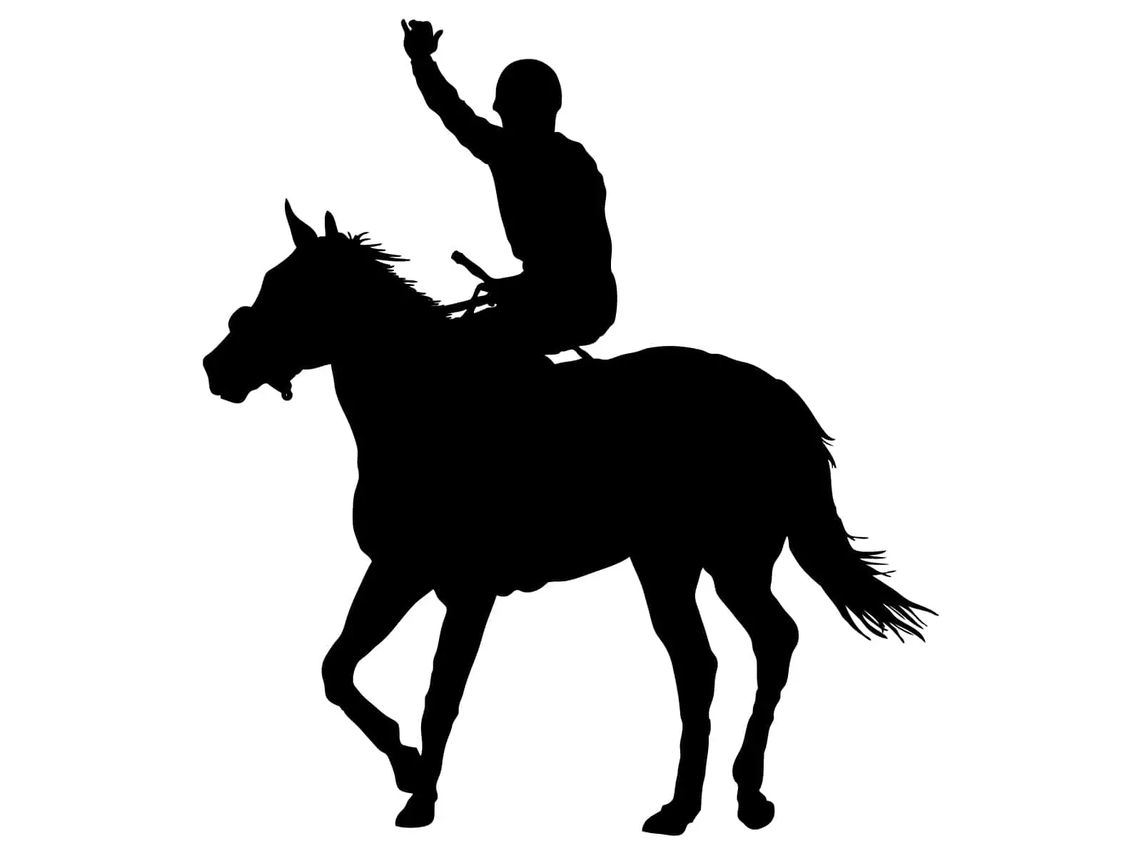 シルクホースクラブの第一次募集抽選結果を見て感じたこと 一口馬主とfxと